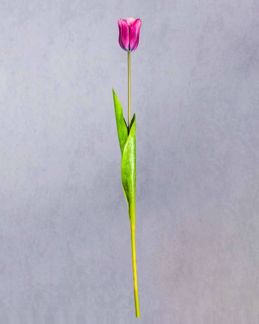 REAL TOUCH TULIP FLOWER