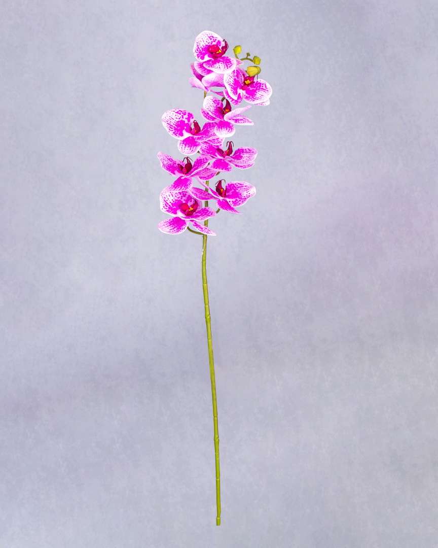 REAL TOUCH ORCHID FLOWER
