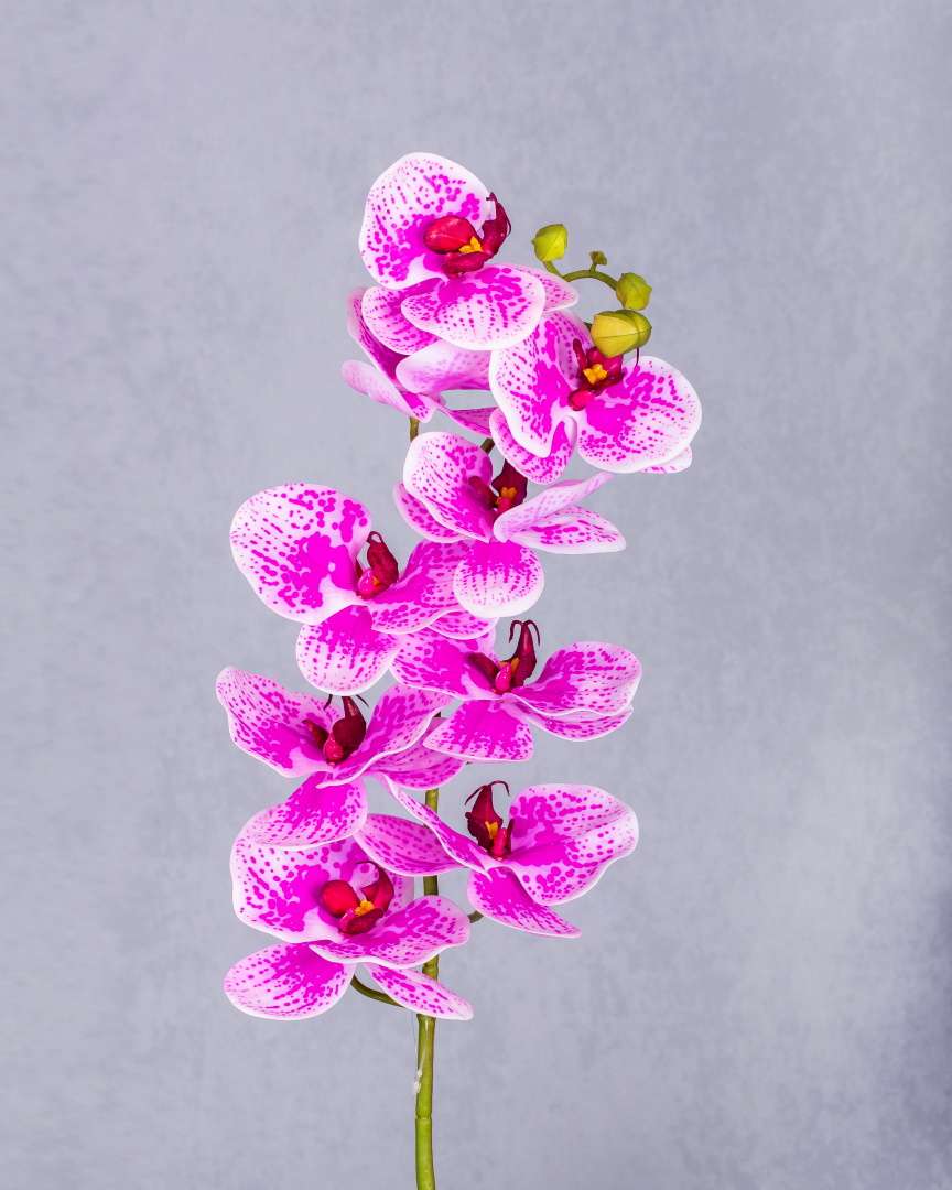 REAL TOUCH ORCHID FLOWER