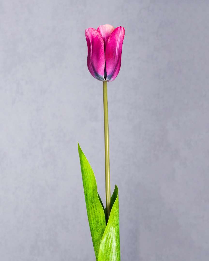 REAL TOUCH TULIP FLOWER